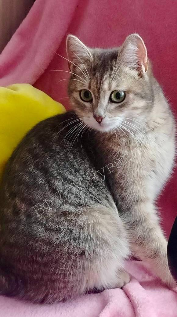 Нам пишут бойцы: